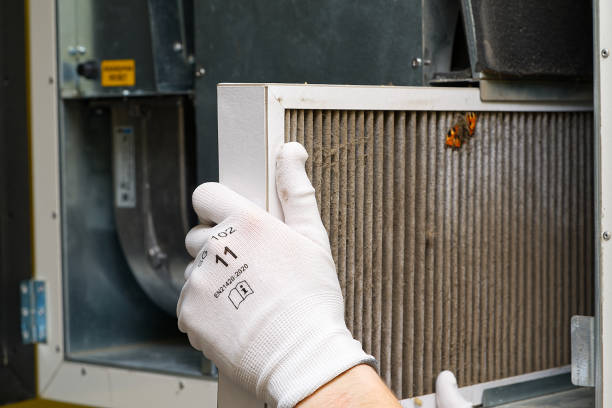 Best Affordable Air Duct Cleaning  in Windsor, NC