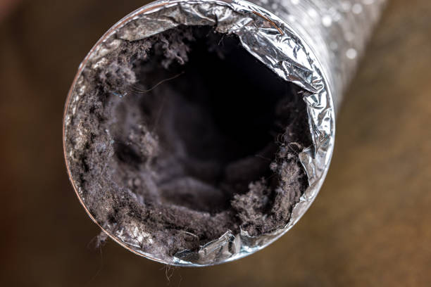 Best Air Duct Cleaning Near Me  in Windsor, NC