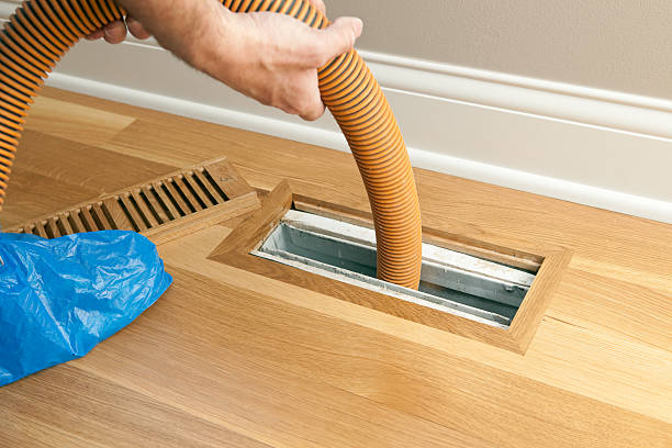 Best Air Duct Sanitizing Services  in Windsor, NC